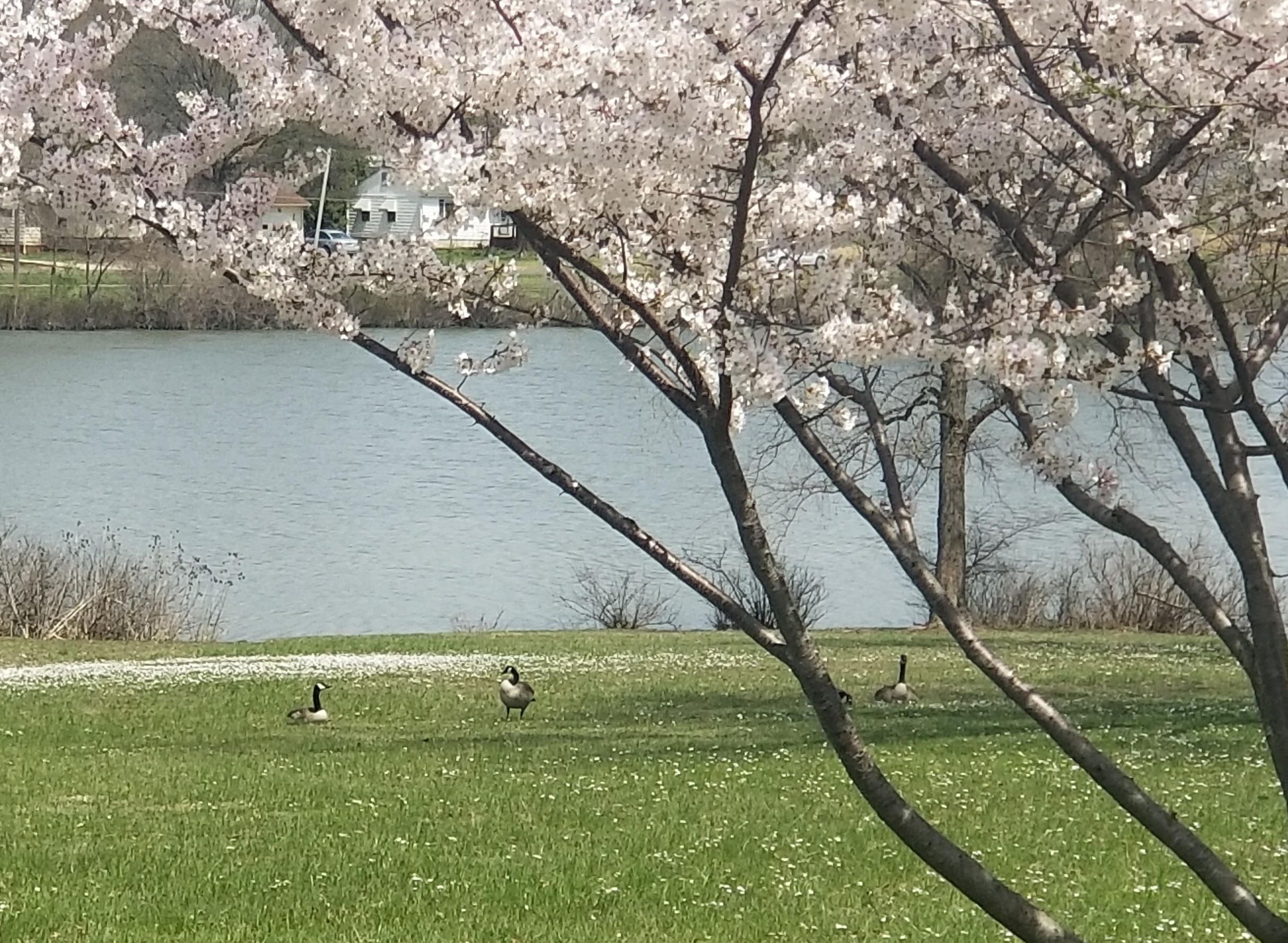 Spring May Have Finally Sprung In Mexico