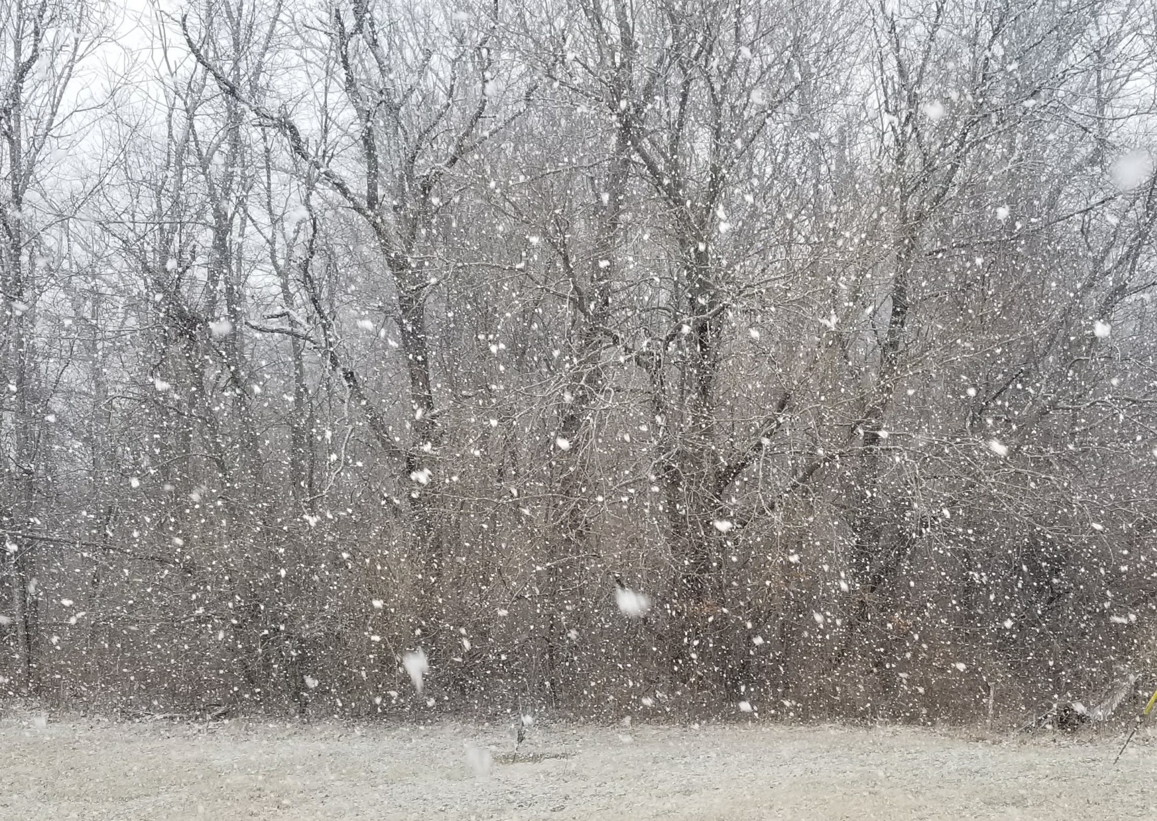 Winter Weather Update