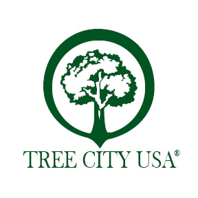 Mexico Earns Tree City USA Designation For 2020