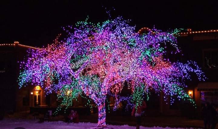Magic Tree In Mexico To Be Lit