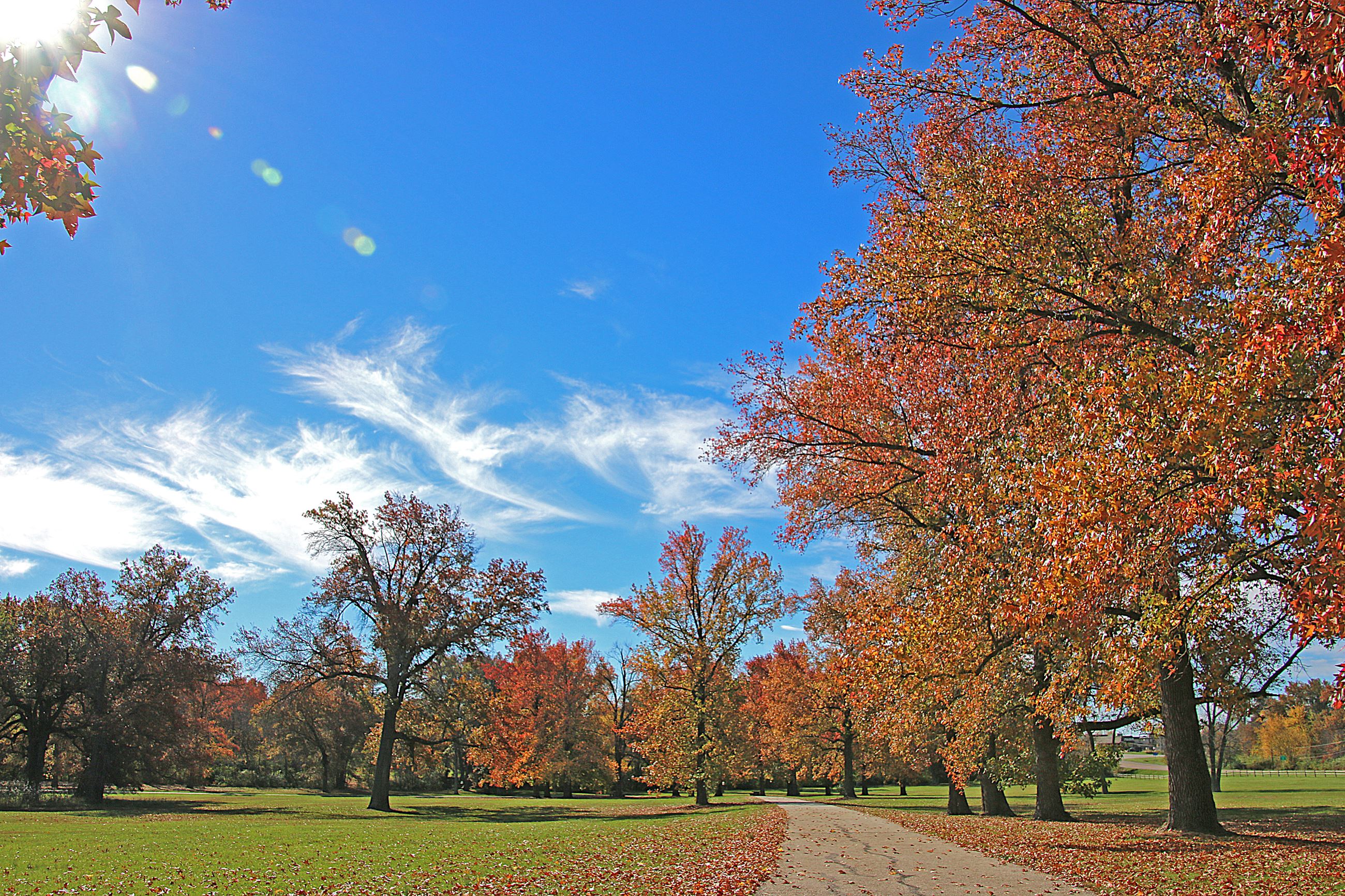 Donor Family Files Lawsuit Against City of Mexico Over Green Estate Park Condition