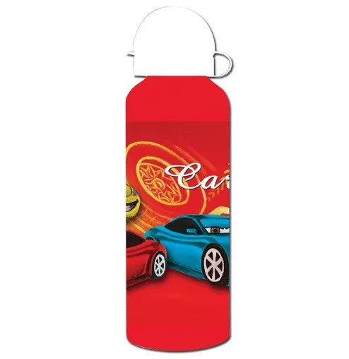 Stainless steel water bottle cars 500ml