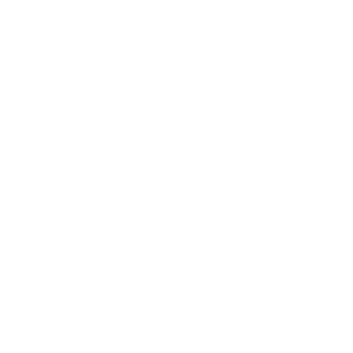 Kylee Mullen | Communications Portfolio