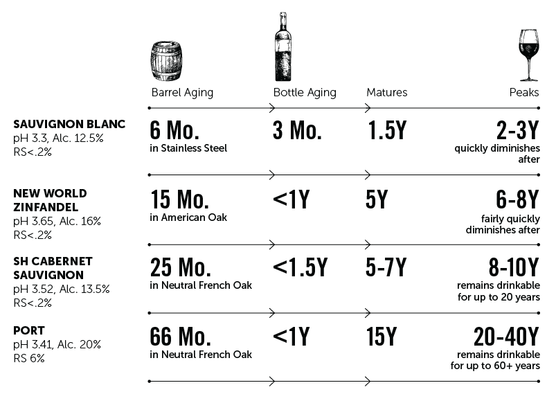 Winemaking process illustration showing the journey from vine to glass