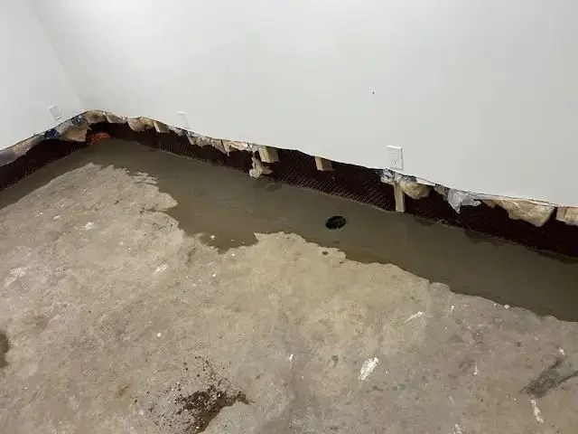 Wet Basement Solutions in Halifax