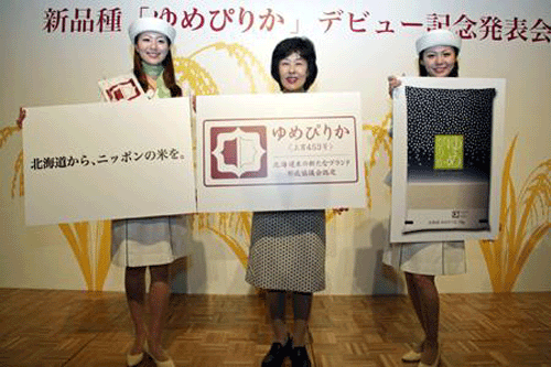 北海道米新王牌「ゆめぴりか」閃亮登場！