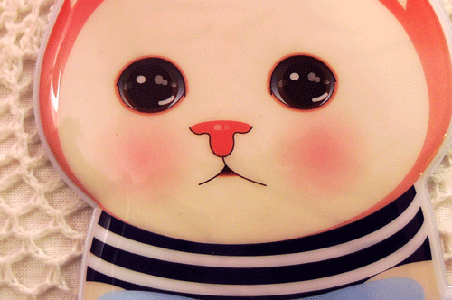 有一雙水汪汪大眼的貓