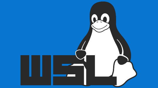 wsl2