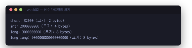 정수 자료형의 크기