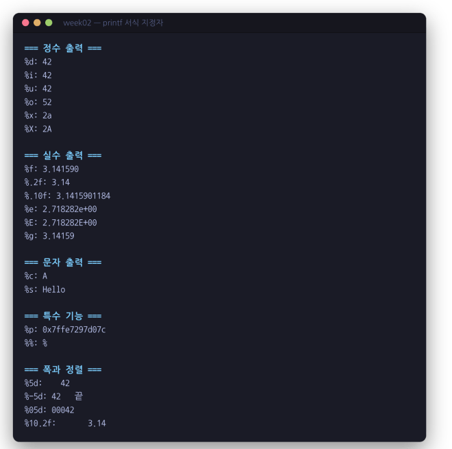 printf 서식 지정자