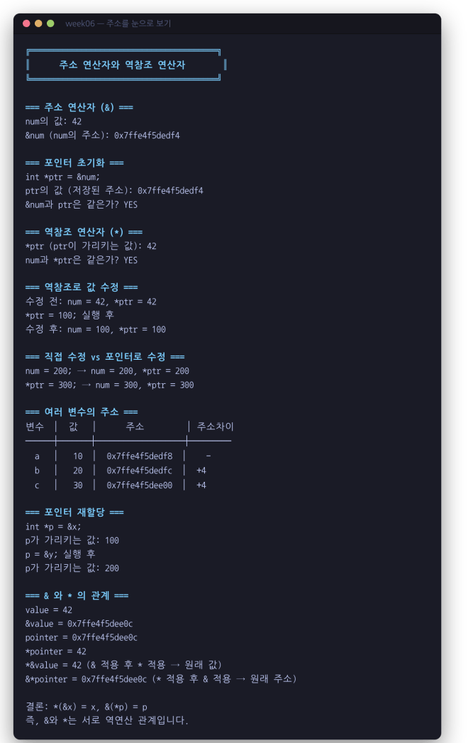 주소를 눈으로 보기