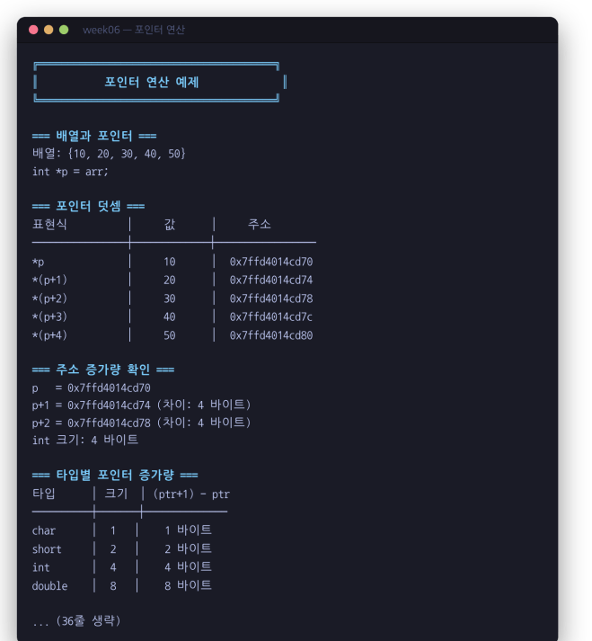 포인터 연산