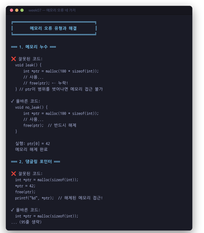 메모리 오류 네 가지