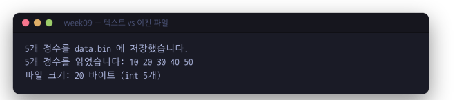 텍스트 vs 이진 파일