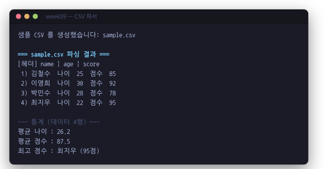 CSV 파서