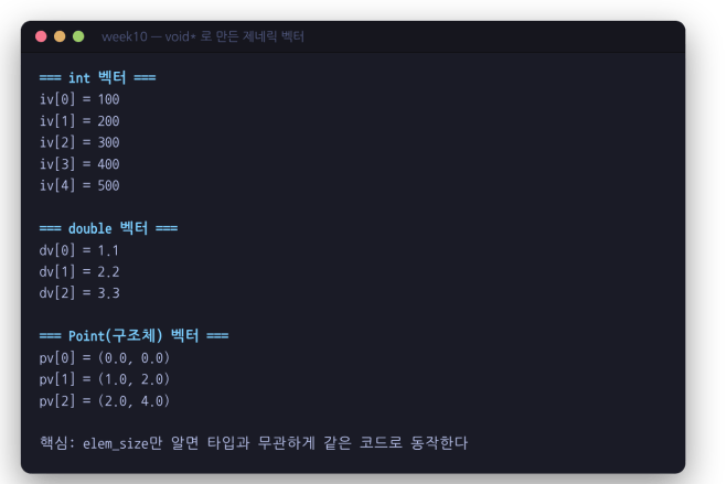 void* 로 만든 제네릭 벡터