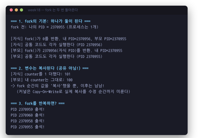 fork 는 두 번 돌아온다