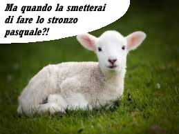 BASTA OLOCAUSTI PASQUALI