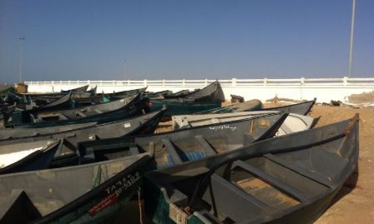 العيون..تاروما..ارباب قوارب الصيد التقليدي الصحراويين يطالبون بتسوية وضعيتهم الاجتماعية والمهنية.