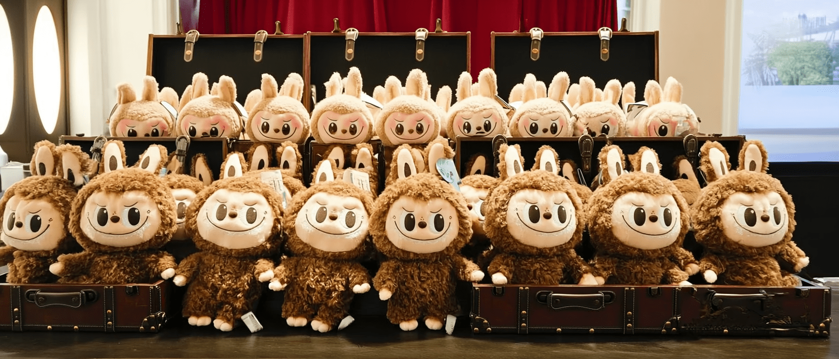 A well-organized Labubu collection display in 2025.