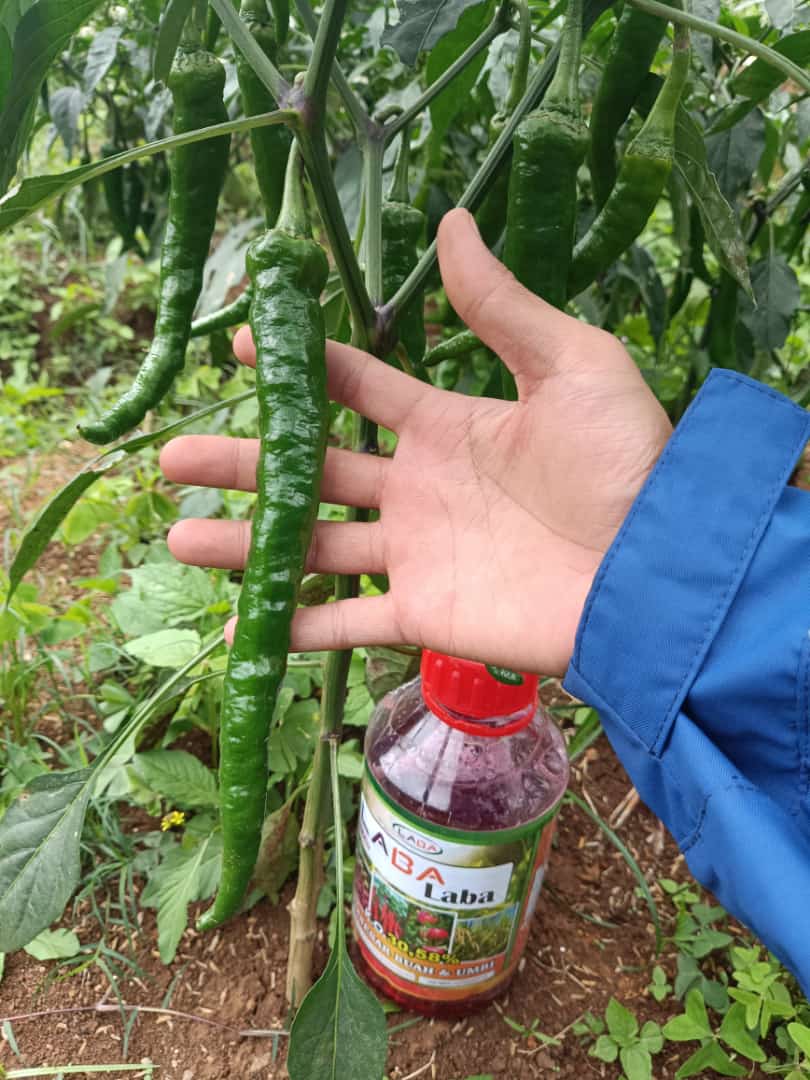 WhatsApp Image 2022-09-16 at 15.39.37