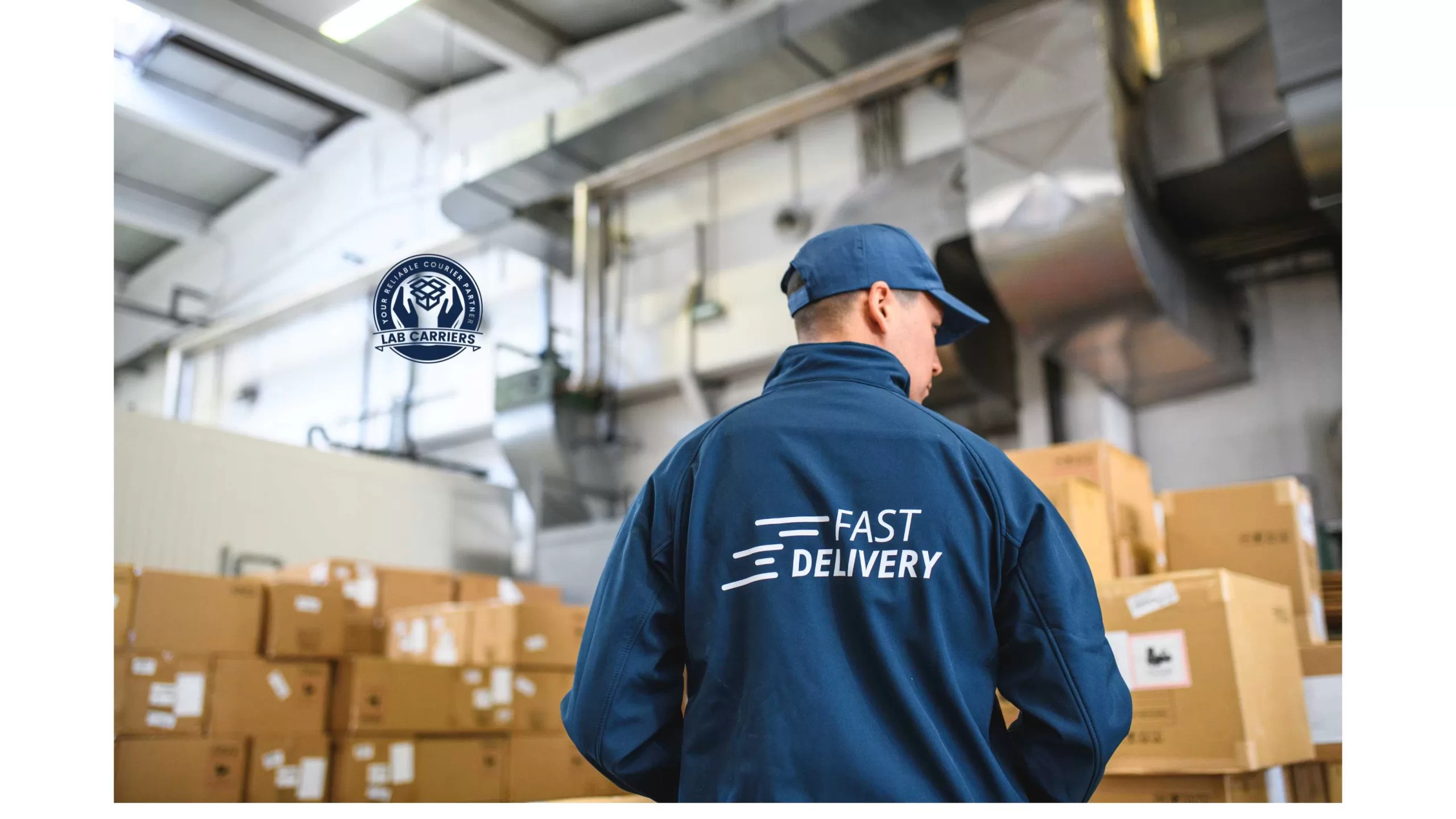 Fast Delivery-2