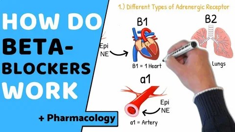 Beta Blockers: Defining a Medical Revolution