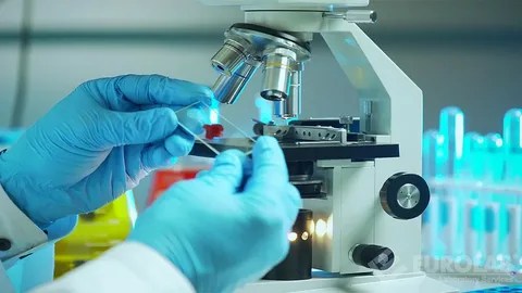 How Often Should I Get Lab Tests