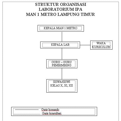 Struktur Anisasi Lab Ipa Desain Bendera Pemuda Syndicate Hitam.
