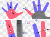 3d Hand Pose Estimation
