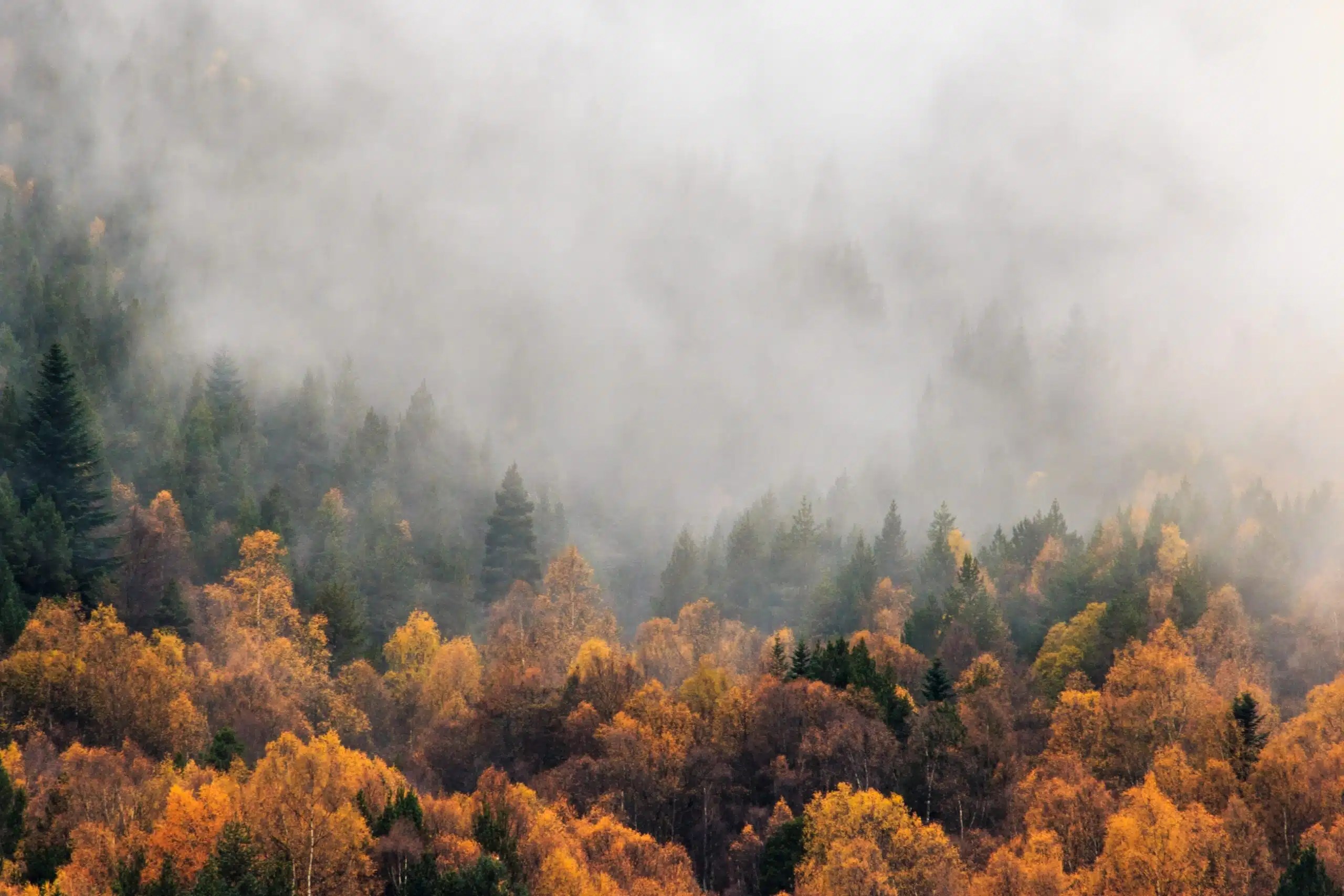 week-end automnal dans les Hautes-Pyrénées