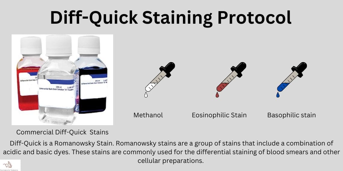 Diff Quick staining procedure, principle, and results