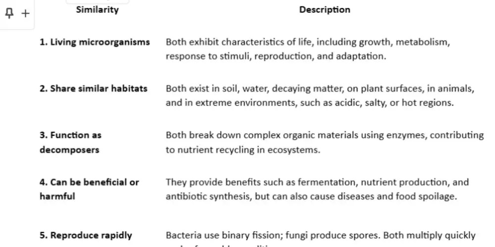 similarities between bacteria and fungi explained