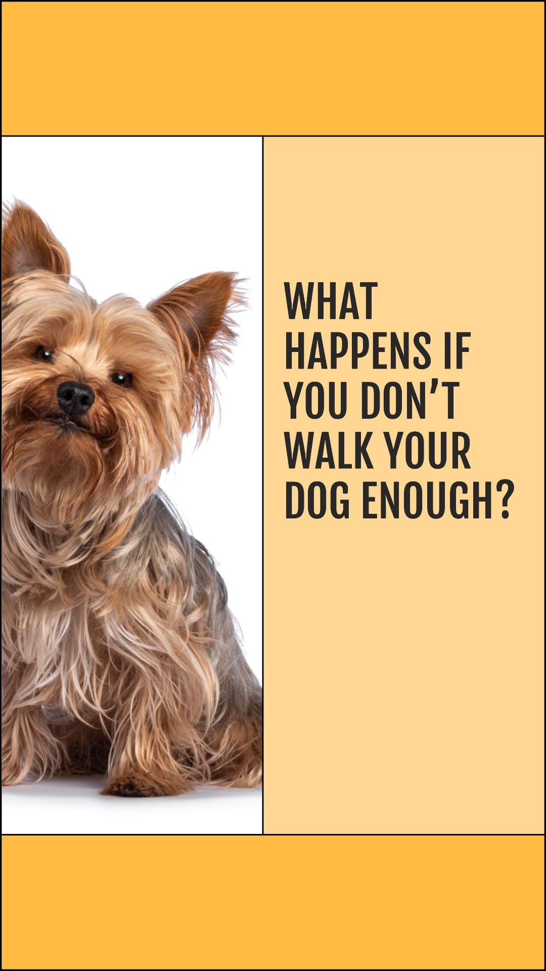 What Happens if You Don’t Walk Your Dog Enough