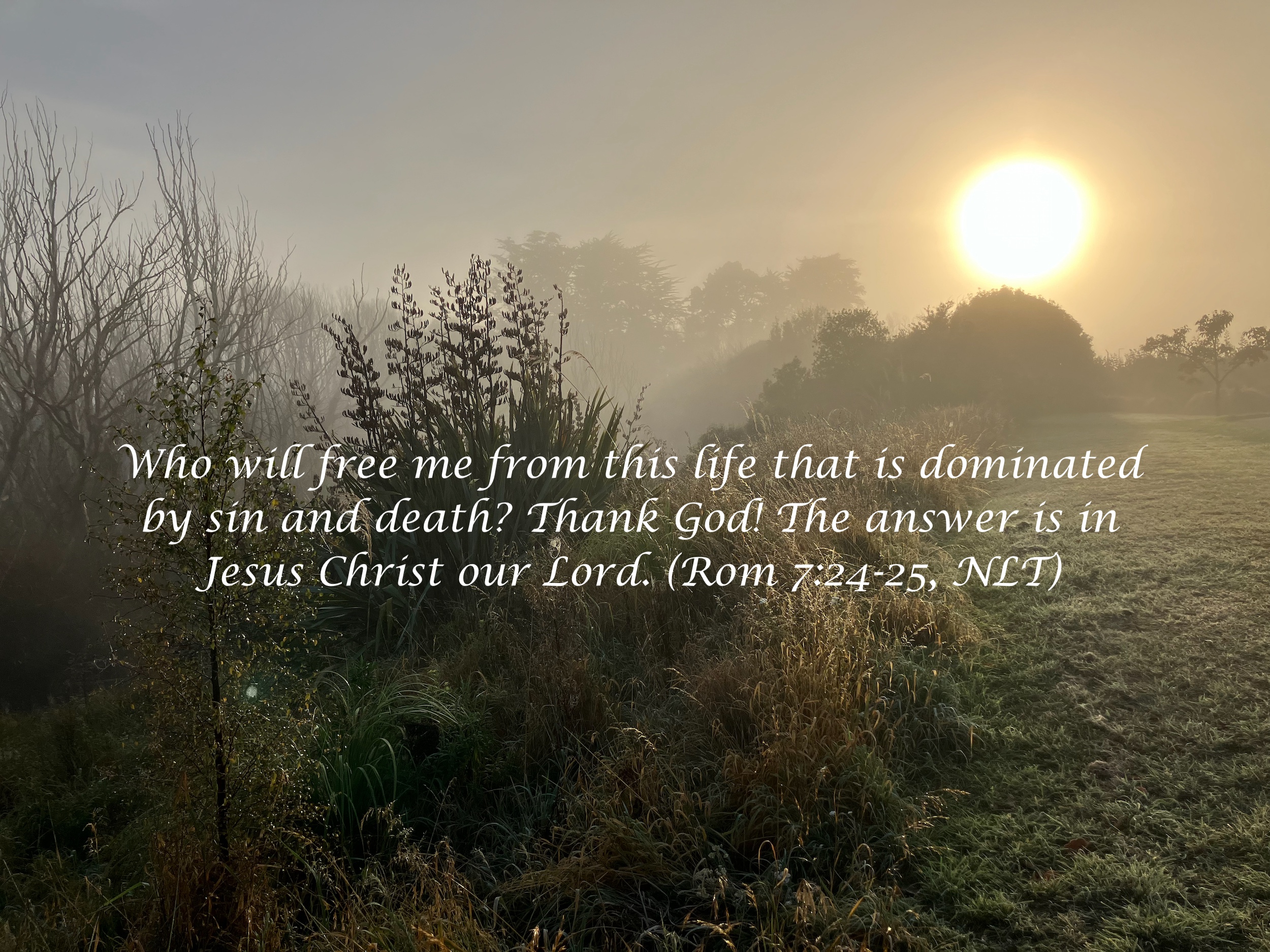 The nature of repentance and the way of healing (Hos 14:1-9). Who will free me from this life that is dominated by sin and death? Thank God! The answer is in Jesus Christ our Lord. (Rom 7:24-25, NLT)