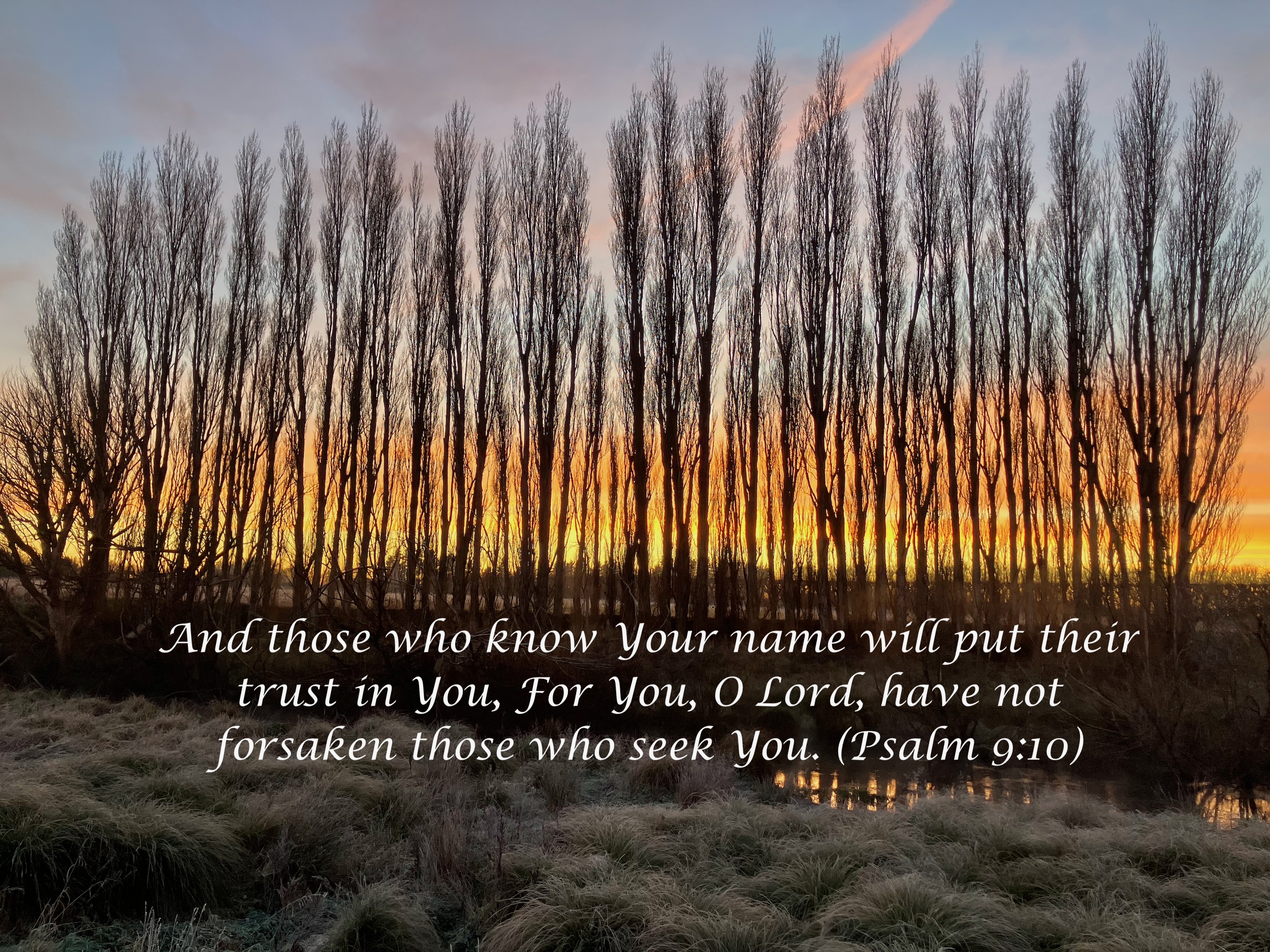 The challenge of faith and how we respond (2 Kings 18:1-16). And those who know Your name will put their trust in You, For You, O Lord, have not forsaken those who seek You. (Psalm 9:10)