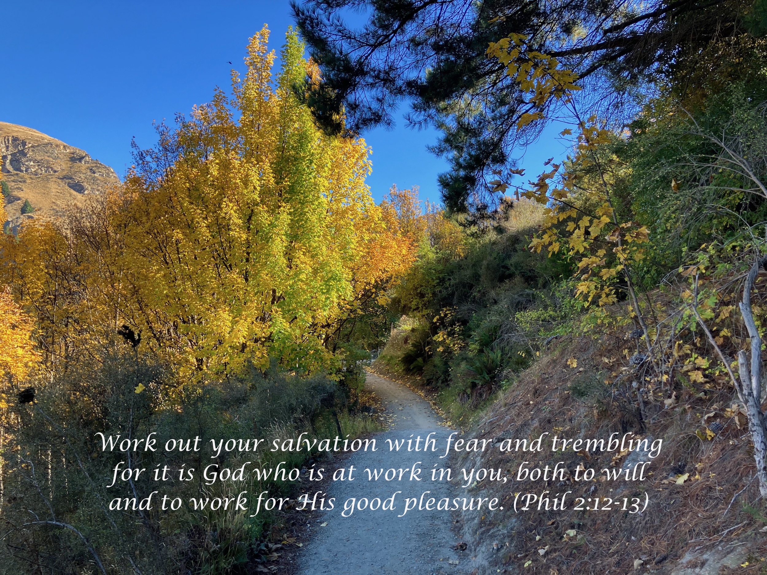 How to avoid repeating our mistakes (2 Kings 21). Work out your salvation with fear and trembling for it is God who is at work in you, both to will and to work for His good pleasure. (Phil 2:12-13)
