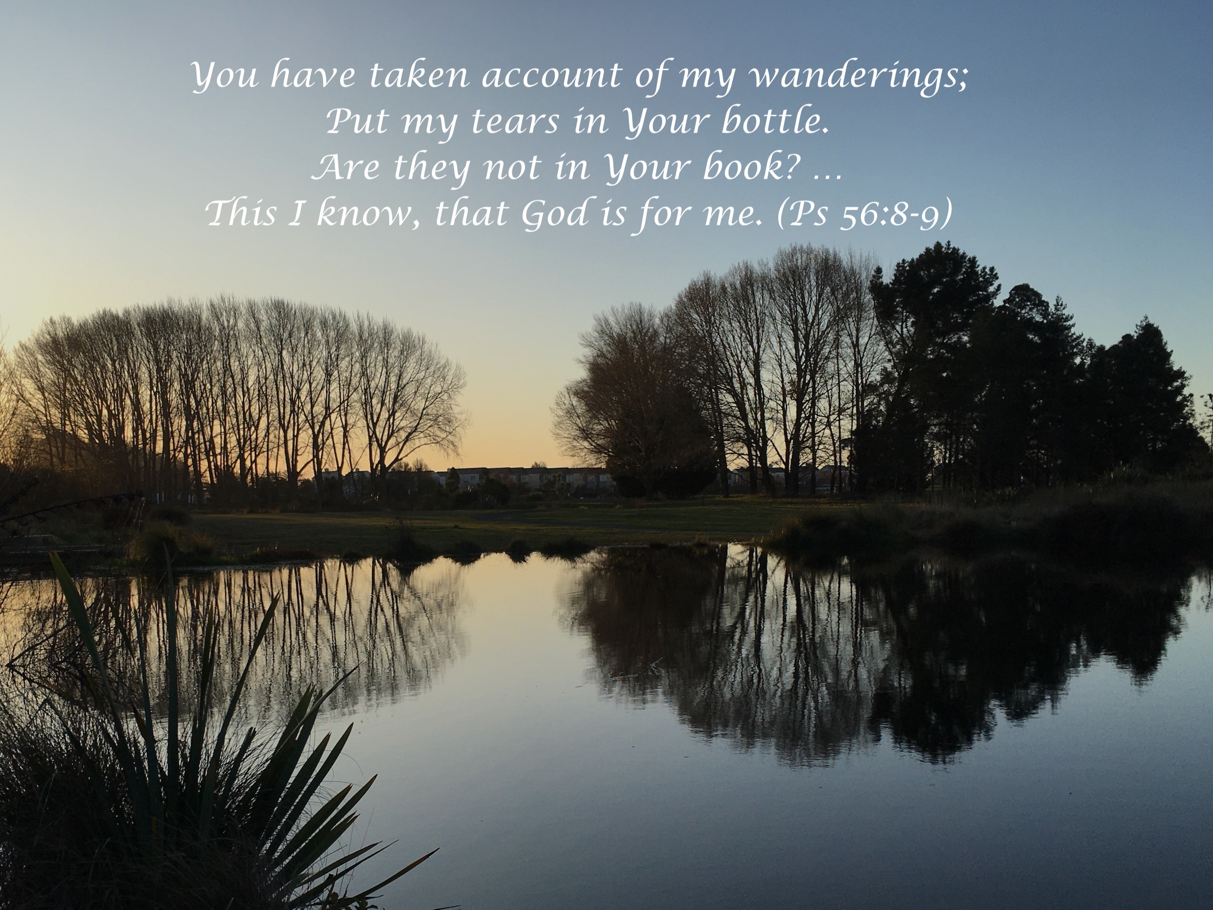 Life out of death: The God who is for us (2 Kings 20:1-11). You have taken account of my wanderings; Put my tears in Your bottle.
Are they not in Your book? … This I know, that God is for me. (Ps 56:8-9)