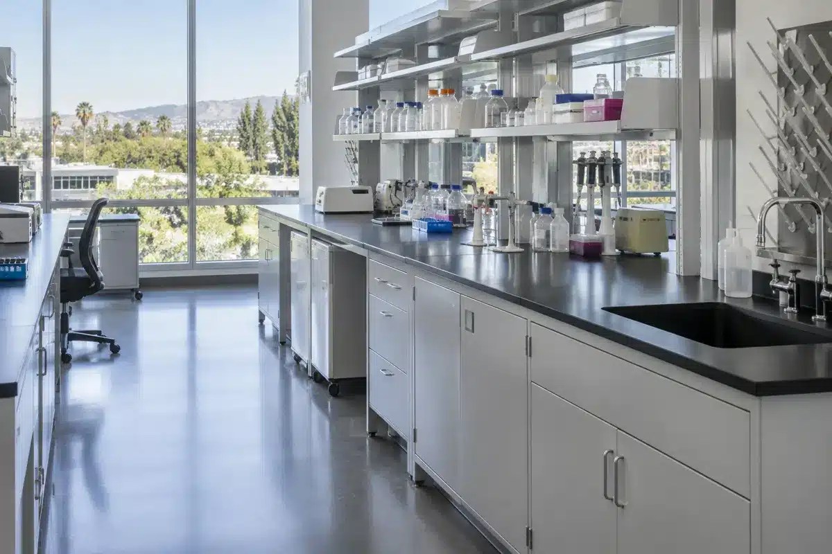 Biotech research lab with light gray painted steel casework, black phenolic resin countertops, reagent shelving and a lab sink in bright daylight