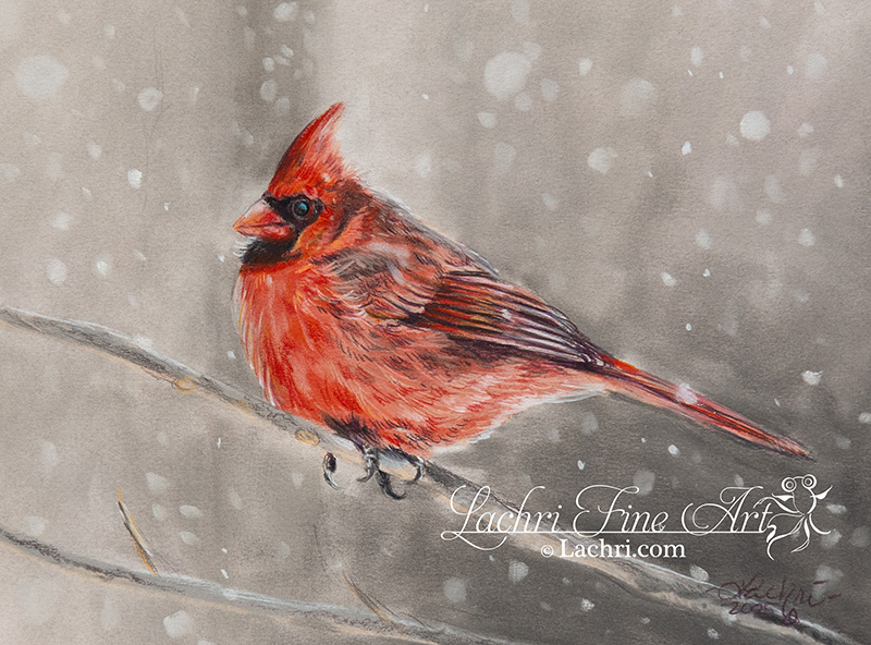 Original Cardinal in Colored Pencil and PanPastel Painting