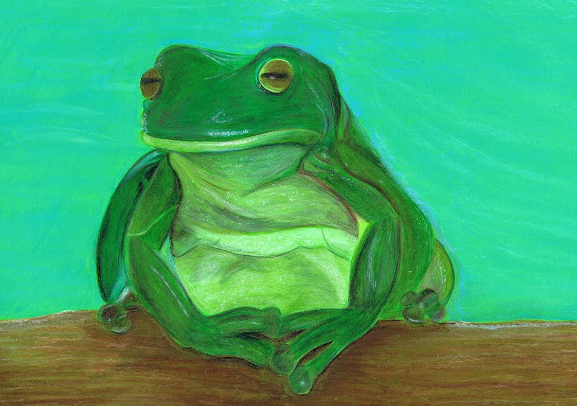 White S Tree Frog Care Sheet Josh S Frogs How To Guides