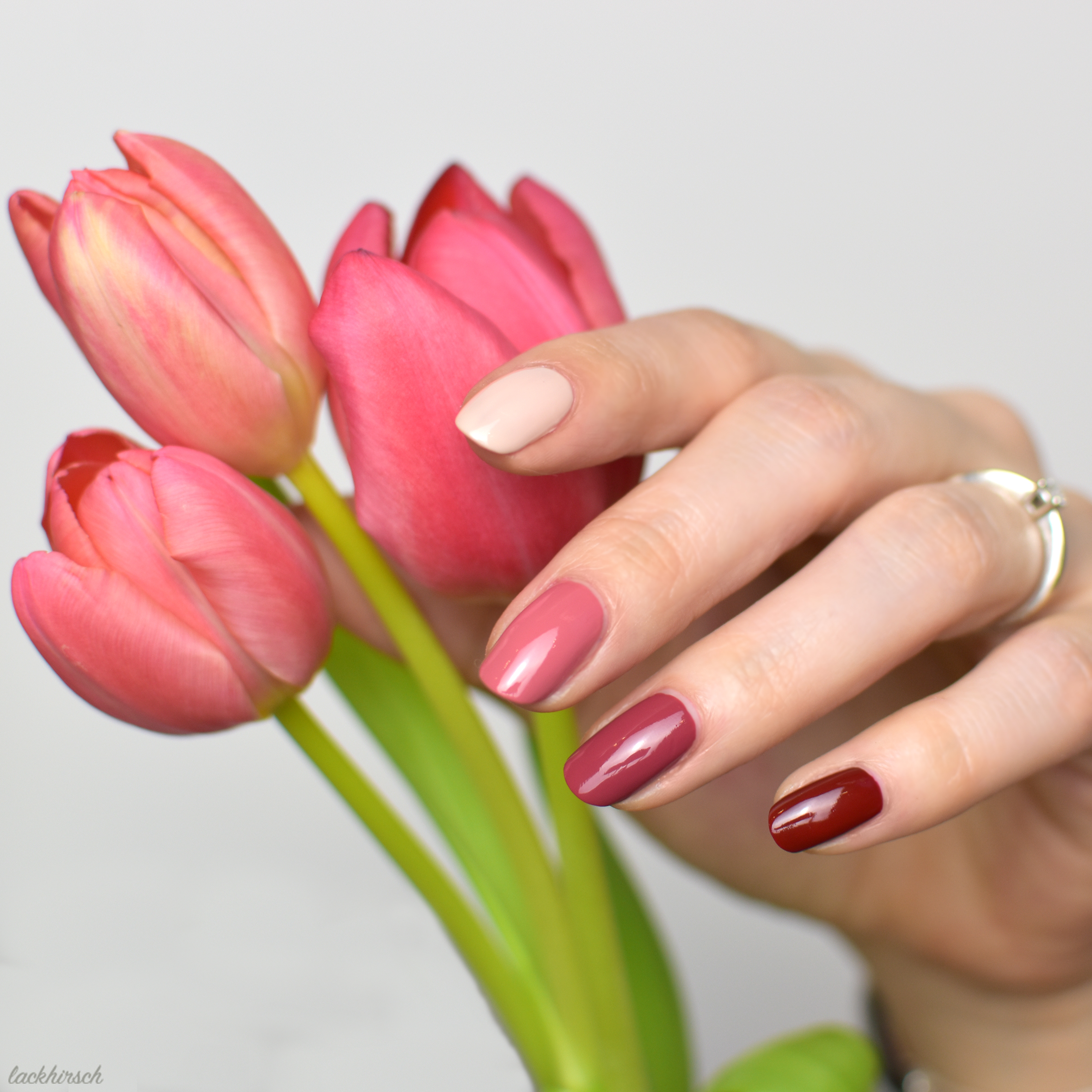 Ombre Nails aus cozy cozy, dare dusty rose, chubby chestnut und daily dark red.