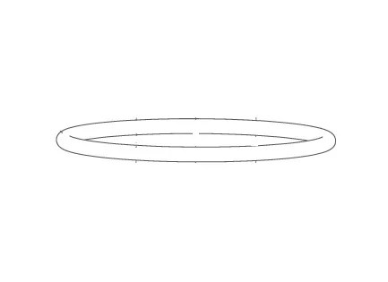 KOLBENSTANGE O RING