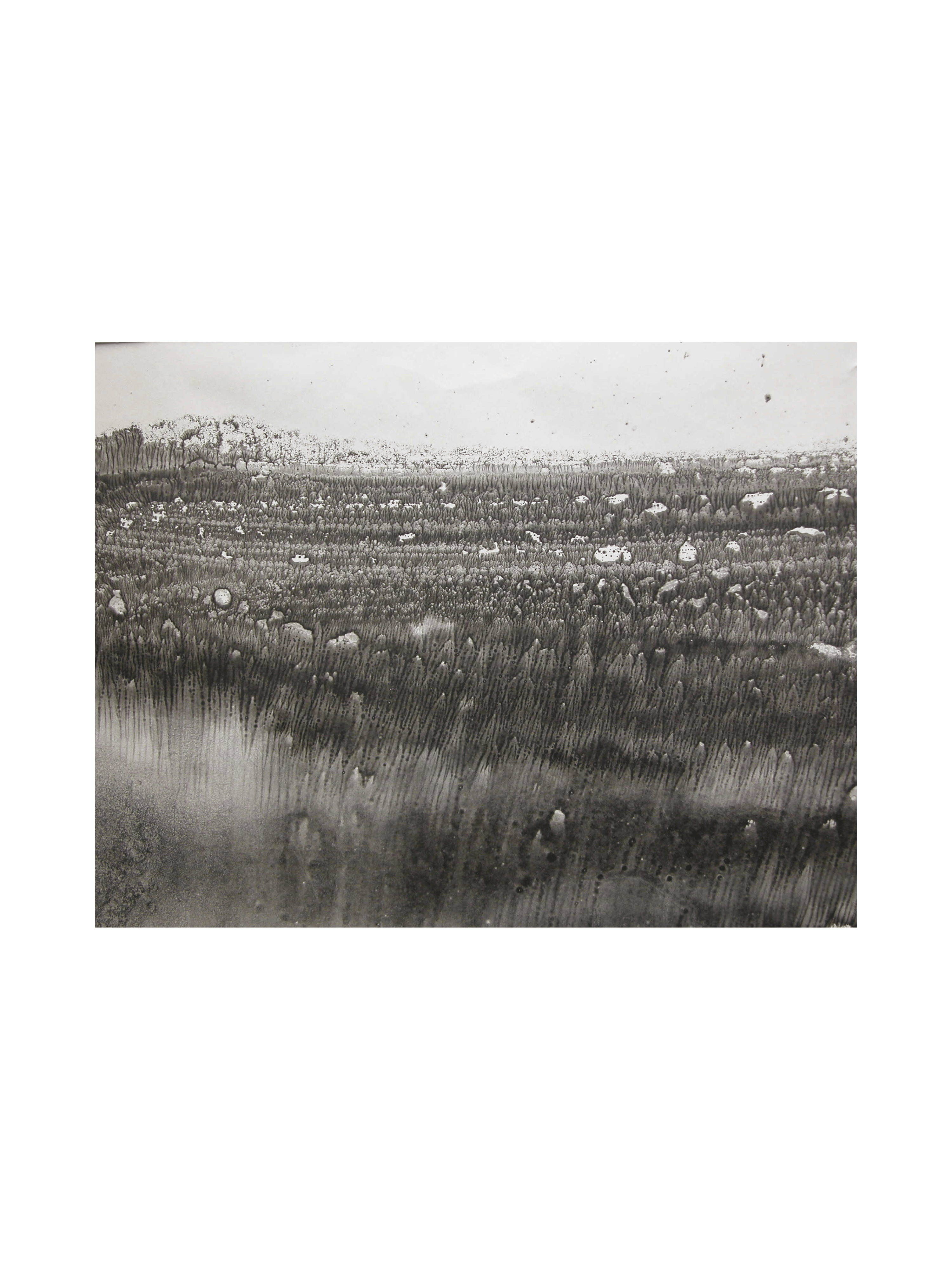 Monotype Afriques