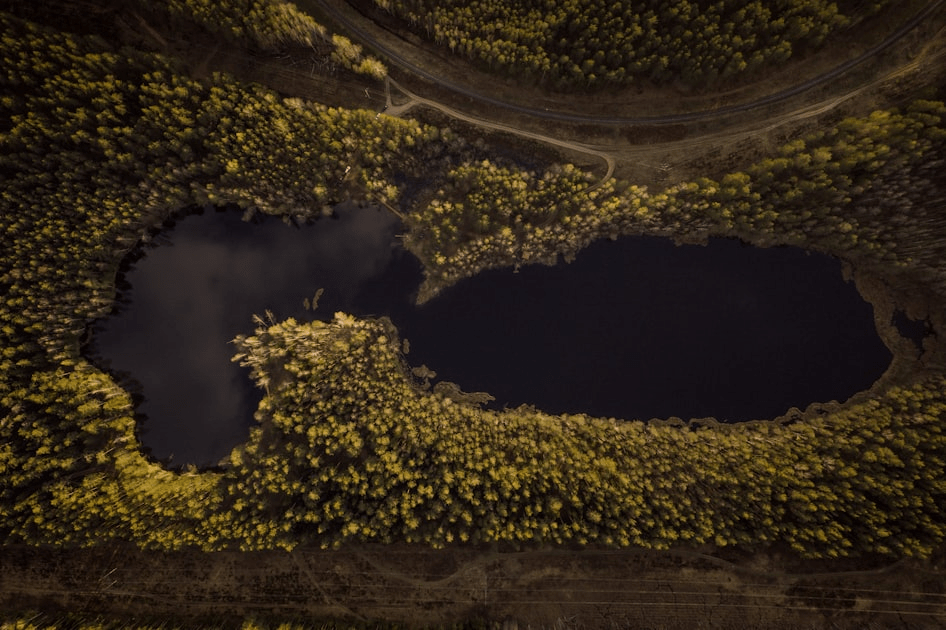 Green Technology for Corporate Clients