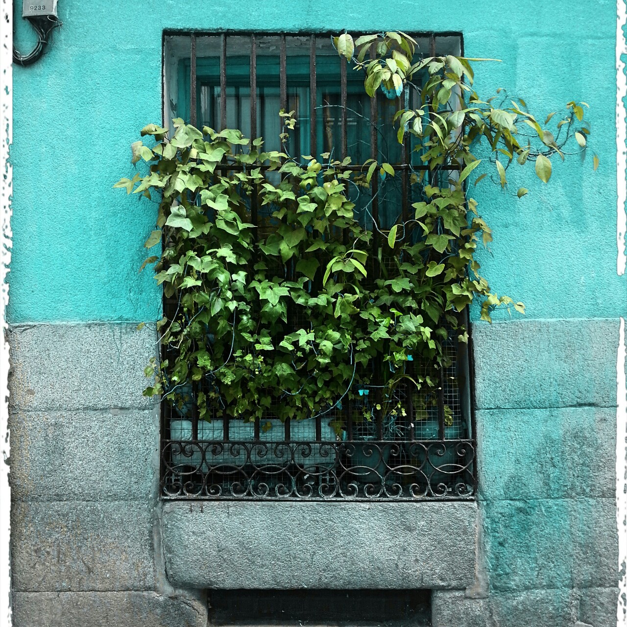La ventana de cada día