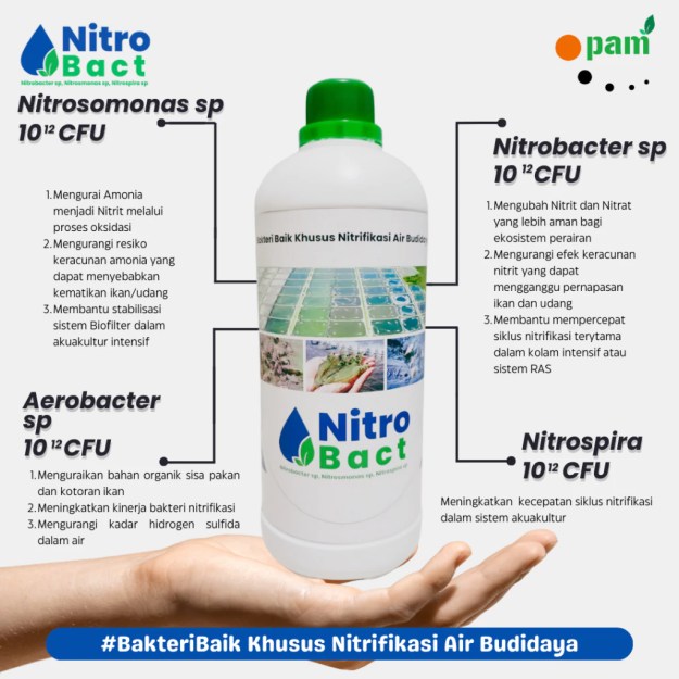 Jual Bakteri Nitrifikasi Kolam Ikan Koi