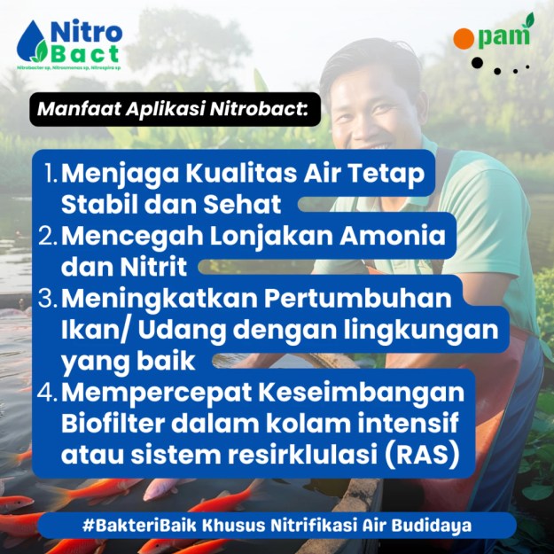 Manfaat Nitrobact Bakteri Nitrifikasi Perikanan