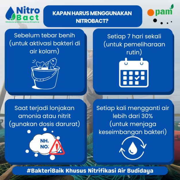 Cara Penggunaan Bakteri Nitrifikasi Perikanan