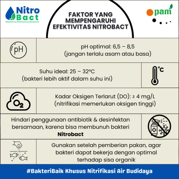 Cara Penggunaan Bakteri Nitrifikasi Perikanan